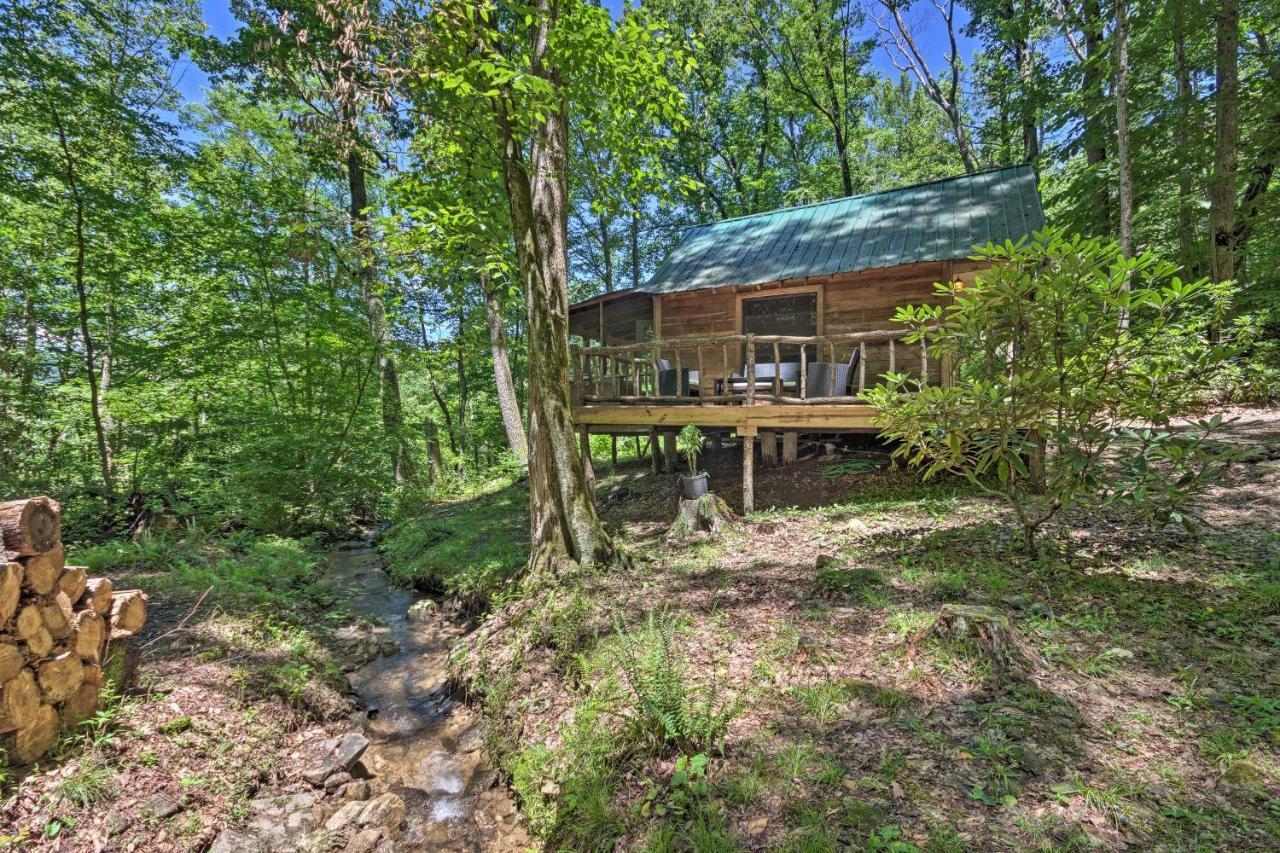 Creekside Cabin With Deck In Pisgah Forest! Barnardsville Exterior foto