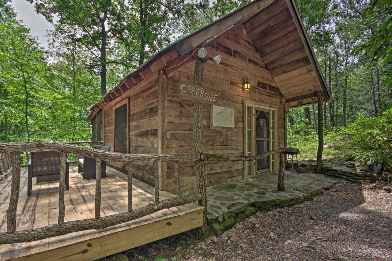 Creekside Cabin With Deck In Pisgah Forest! Barnardsville Exterior foto