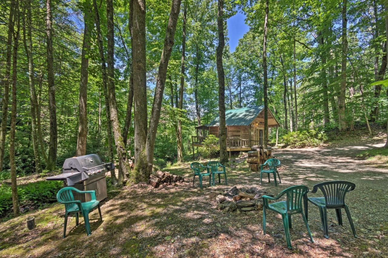 Creekside Cabin With Deck In Pisgah Forest! Barnardsville Exterior foto